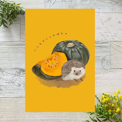 ハリネズミとかぼちゃ　イラストポストカード2枚セット