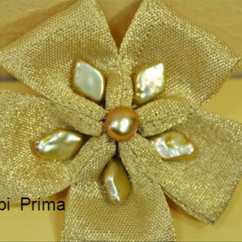 感謝祭・・・「特許商品」Obi　Prima  puchi　gold　の花