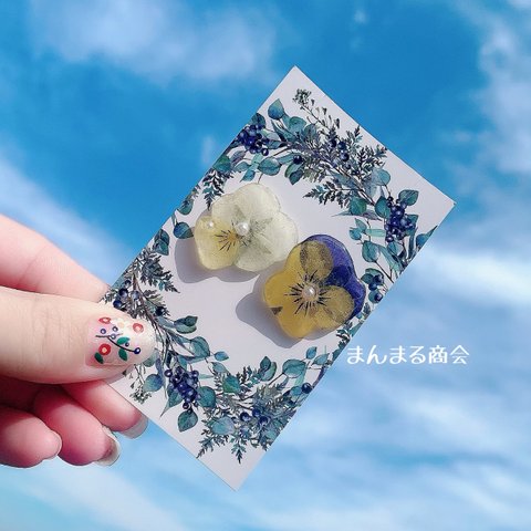 【小さな恋の花】アシンメトリーなビオラ3金属アレルギー対応