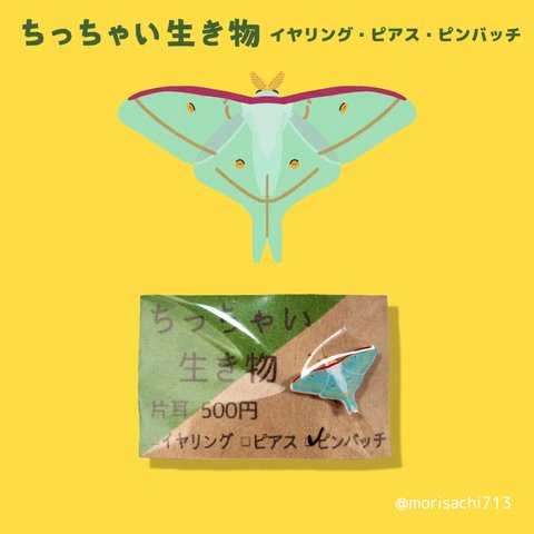 【アクセサリー】ちっちゃい生き物　オオミズアオ