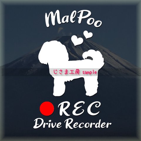 わんちゃんのかわいいドラレコステッカー　『DRIVE　RECORDER』