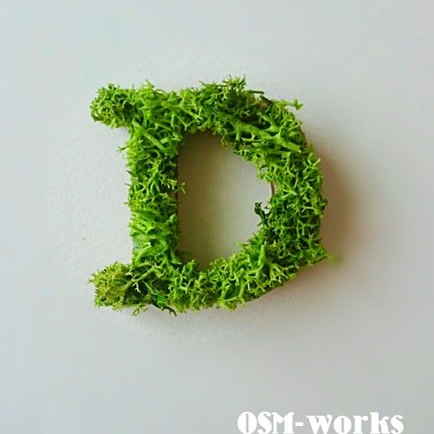 木製 アルファベット オブジェ(モス)『Ｄ』×１点