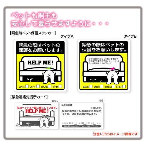 HELPマグネットとカード/Bタイプ