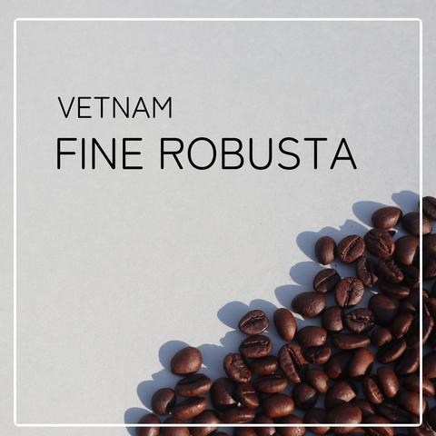 ベトナム ファインロブスタ / Vietnam Fine Robusta コーヒー 100g