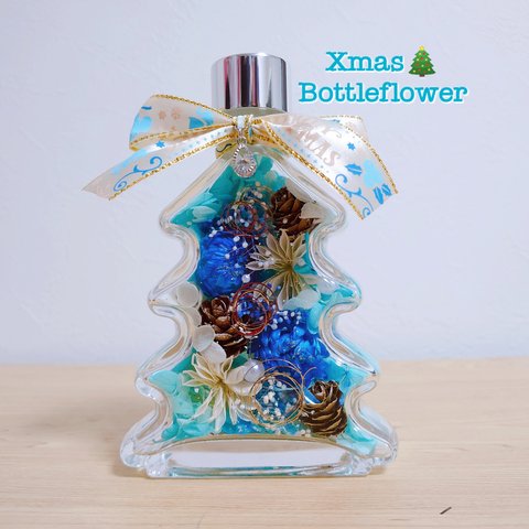 ブルー　クリスマス　Bottleflower