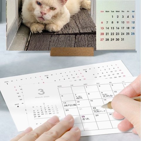 早期予約特典付き12月5日まで 「ローリーカレンダー」　2024年卓上カレンダー 木製スタンド付き  大人気のべロ出し猫　ドラ猫　猫カレンダー　