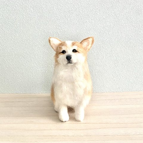 羊毛フェルトのうちの子コーギー　犬のぬいぐるみ　