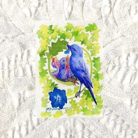 post card2枚セット『青い鳥とネモフィラ』㉞