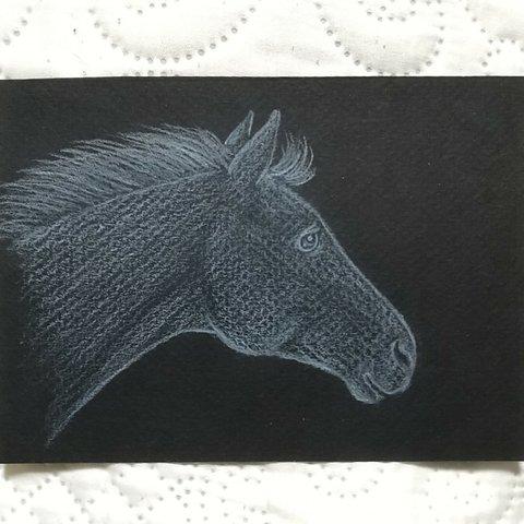 「White Horse」