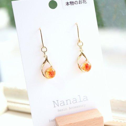 本物のお花のピアス/イヤリング　レジンアクセサリ―　