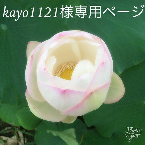 Kayo1121様専用ページ