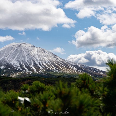 ポストカードーお山ー