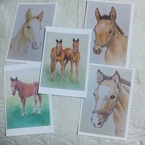 「仔馬の絵のポストカードセット」