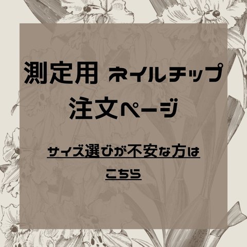 測定用 ネイルチップ オーダーページ