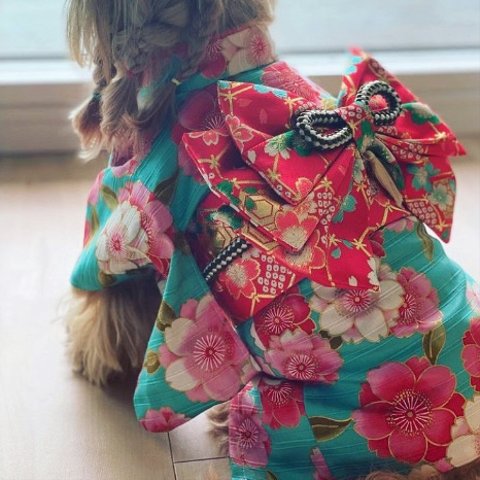 オーダー犬着物♡色内襟&３段帯&巻き帯♡お正月七五三桃の節句お雛祭り晴れ着