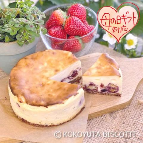 【限定】ほんのりベリーチーズケーキ＆ビスコッティ