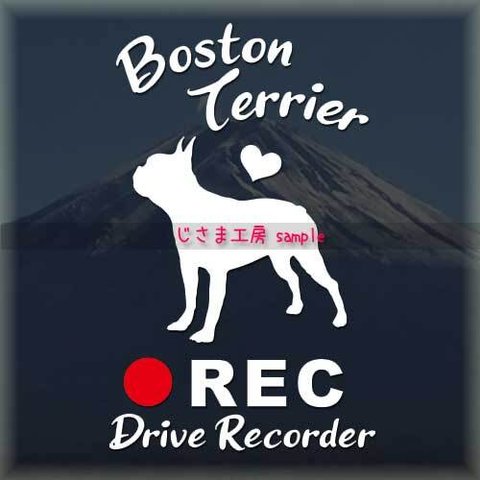 わんちゃんのかわいいドラレコステッカー　『DRIVE　RECORDER』