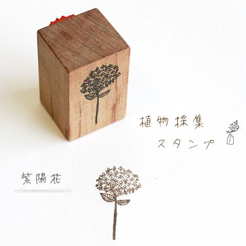 植物採集スタンプ：『あじさい』