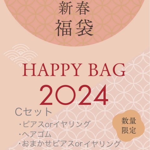 HAPPY BAG\ ☆ /2024.Cセット