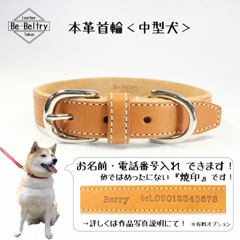 【送料無料】本革レザー首輪〈中型犬〉キャメル色　幅２１ｍｍ　首回り３２～４０cm対応可 高級イタリアンレザー使用