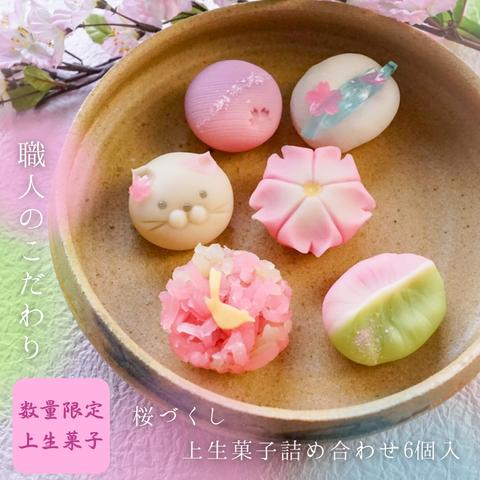 食べるお花見【送料無料】桜づくし上生菓子6個入り ホワイトデー 誕生日 かわいい 贈答 ギフト 和菓子 練り切り 本格 手土産 お返し