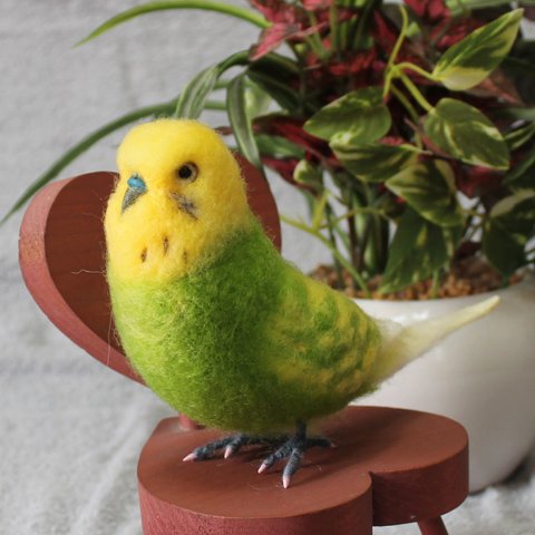 羊毛フェルト オーダー 「リアルで可愛いインコちゃん」セキセイインコ 