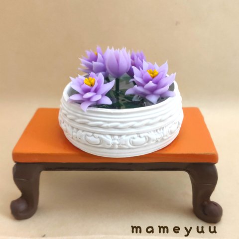 ミニチュア  睡蓮鉢   大サイズ   (お花パープル)