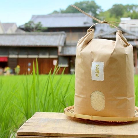 【金鵄米/５分づき/5kg】きんしまい2023年産冷めても美味しいヒノヒカリ