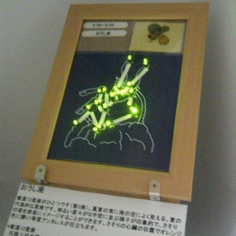 LEDの星に見立てた　星座（おうし座）