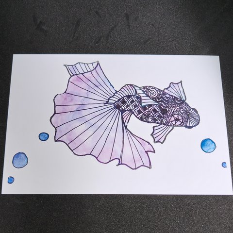 金魚 (ゆらり)青紫