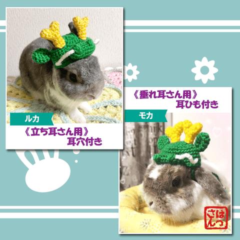 うさぎ用🐰辰さん帽子🐲