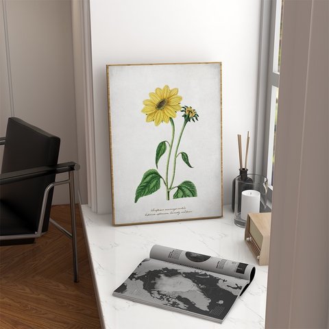 ポスター　夏のひまわり / i0696 /  ヴィンテージ風のヒマワリの花　ボタニカル　インテリアポスター