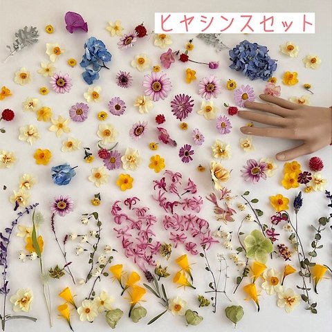 ドライフラワー アラカルトセット  花材　ヒヤシンスセット