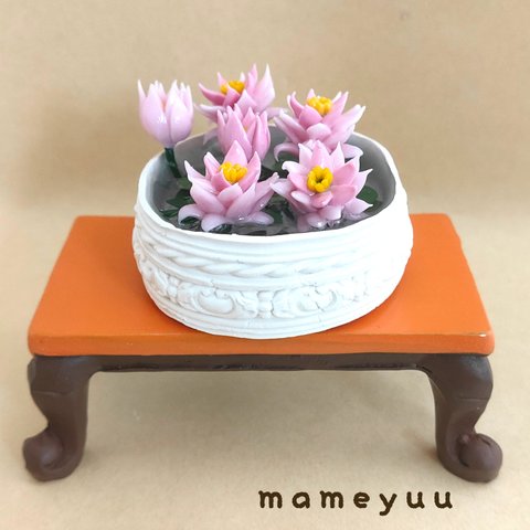 ミニチュア  睡蓮鉢   大サイズ   (お花薄いピンク)