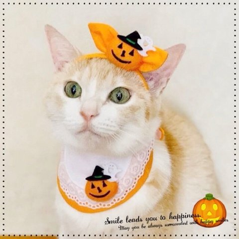 送料無料☆彡ハロウィン🎃エプロン風〜猫の首輪