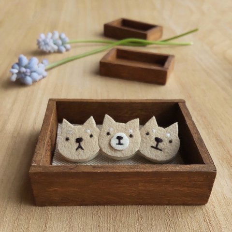 柴犬３兄弟♪ 犬のブローチ＊久しぶりに集まったワン♪ dog brooch