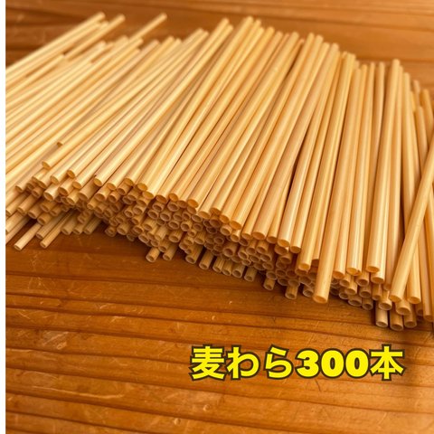 麦わら 300本　ヒンメリ、プズリ、ストロースター作りに