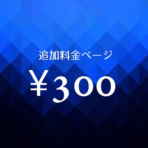 追加料金300円