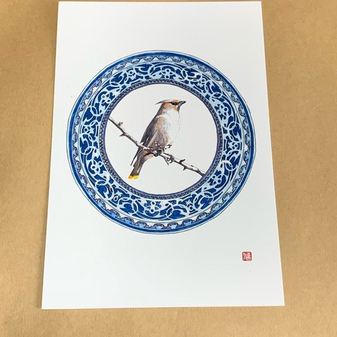 024. 小鳥イラスト　ブルー 色鉛筆画  2Lサイズ   little bird