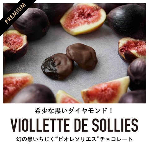 幻の黒いちじく"ビオレソリエス"フルーツチョコレート｜バレンタイン クリスマス ホワイトデー 御中元 御歳暮ギフト 自分へのご褒美