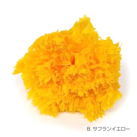 【即納】 フリルカーネーション 9輪 サフランイエロー プリザーブドフラワー 花材 花 プリザーブド花材 ハンドメイド パーツ アクセサリー 資材 黄色