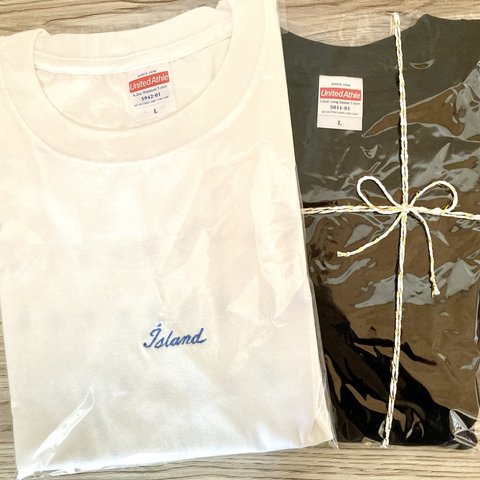 〈春服セットLサイズ〉TシャツとロンT アイスランド語デザインSET 