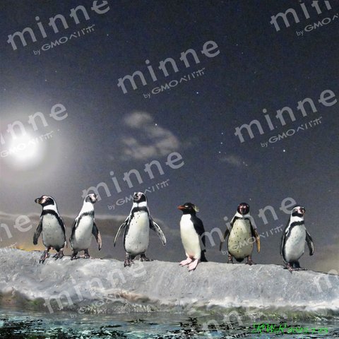 ペンギンと月とオリオンとハートの雲