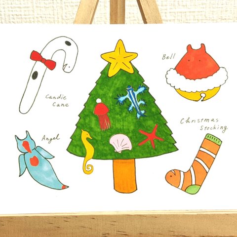 チンアナゴのクリスマスカード 同柄3枚組【変更可能】