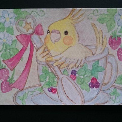 原画「ティーカップオカメインコちゃん」～鳥 小鳥 インコ～