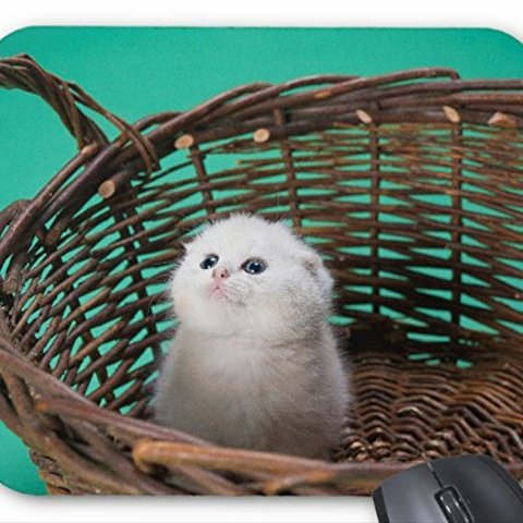 可愛い子猫のマウスパッド：フォトパッド（世界の猫シリーズ） (H)
