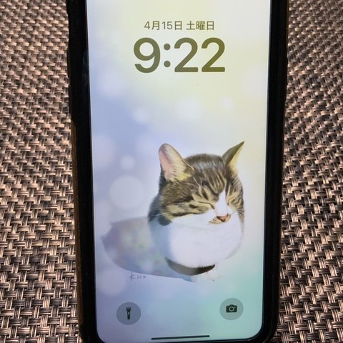 スマホ壁紙【ひなたぼっこ】iPhone X以降のサイズ