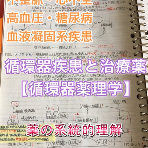 看護師国家試験、准看護師、看護学科定期試験対策シリーズ【循環器疾患】まとめノート