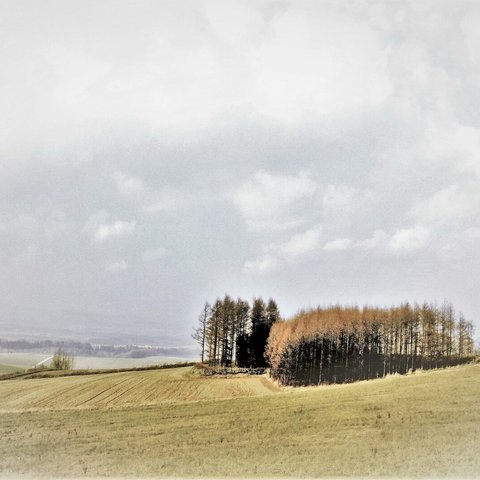 カラー写真 434・ 北海道 