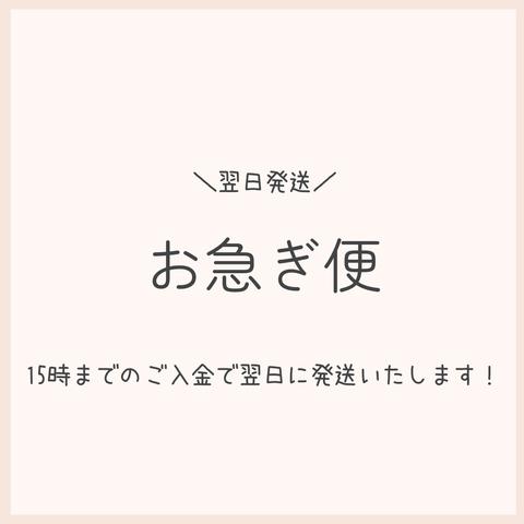 【翌日発送】お急ぎ便